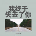 赵传-我终于失去了你 (HELIX remix)