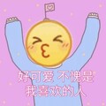 苑笙 - 致遥远的你