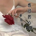 伤过的心 (DJ新旭版)