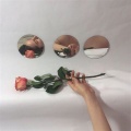 vowl.、Prxz、Mishaal - scars