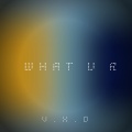 V.X.D - What U R