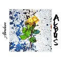 Abrahaam - Birth of Albus