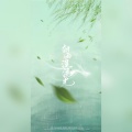 洛宸微 - 细雨湿流光