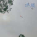 张晨XN - 隔岸