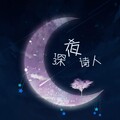 八音岚 - 深夜诗人