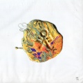 Pion - Sympacide