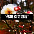 冷晨 - 佛啊 你可渡我