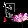 梓晨 - 九痛殇情心易老