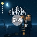 自渡 - 你是我撞的南墙