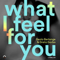 Geolo Berlange、Niko Lindhé - What I Feel for You (Niko Lindhe Remix)