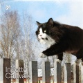 Inpetto - Catwalk