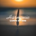 Harmonie corps et âme: Musique zen relaxante pour la méditation, La connexion et la visualisation