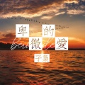 子枭 - 卑微的爱
