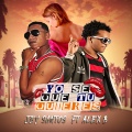 JEY SANTOS、Alex B - Yo Se Que Tu Quieres