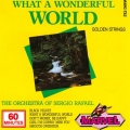 Sergio Rafael Orchestra - I'll Be Loving You (Forever)