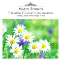 Frédéric François Chopin - Chopin: Prelude In D Flat Major Op.28 No.15 'Raindrops'
