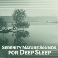 Easy Sleep Music