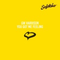 You Got Me Feeling(Beatport Exclusive)