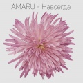 Amaru - Навсегда