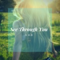 V.X.D - See Through You