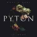 Pyton - Whisper