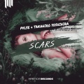 PVLSE、Takahiro Yoshihira - Scars