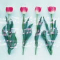 韩磊 - 花为谁开