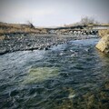 Refeeld - River