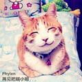张杨龙 - 再见吧喵小姐