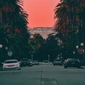 Mag Luzi - Morning Action