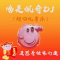 进恩哥 - 啥是佩奇DJ