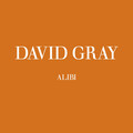 David Gray - Alibi (Radio Edit)
