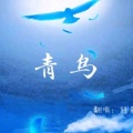 特曼 - 青鸟