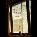 바이올렛트리 - 봄의 끝에서 (春天的尽头)