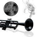robbie nevil - Bringin' On the Night