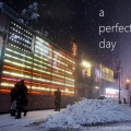 A Perfect Day - The Snow! The Hand Holding Apocalypse!
