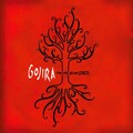 Gojira - Embrace The World