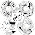 Shlohmo - Gunk