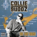 Collie Buddz - private show