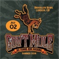 Gov't Mule - Stratus
