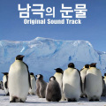 沈贤政 - Life In The Antarctic