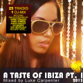 danny tenaglia - Dibiza (Wow & Flute in Stereo Mix) - remix