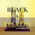 astronautalis - Black & Yellow