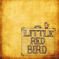 Dave Matthews Band - Little Red Bird