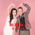崔云飞、菱子 - 红颜知己