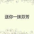 王芳 - 英雄赞歌