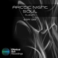 Arctic Night - Direction B
