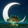 贾小曼 - 勇气