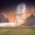 Patrick Poe - Tribal Drummer