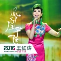王红涛 - 凤凰于飞